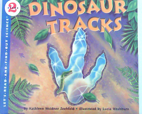 Dinosaur Tracks